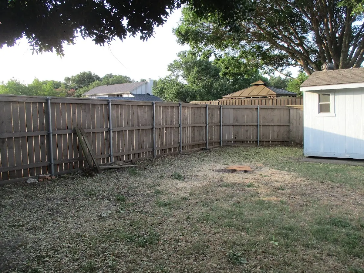 Cleared yard after professional tree removal in Mylo